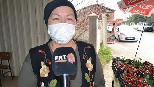 Organik ve doğal Fethiye çileği yoğun ilgi görüyor