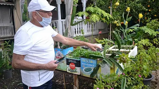Bahçesinde tropikal meyveler yetiştirdi