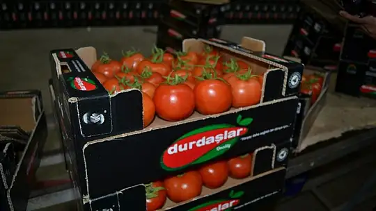 Toptancı halinde son durum ne?