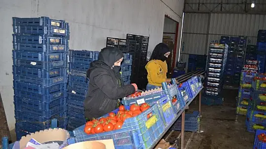 Toptancı halinde son durum ne?