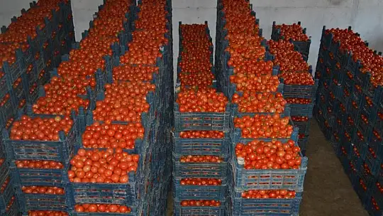 Toptancı halinde son durum ne?