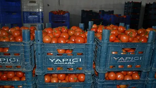 Toptancı halinde son durum ne?