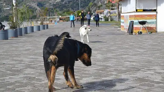 56 saatlik kısıtlamada denize bile girdiler