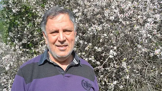 Fethiye'de bademler çiçek açtı