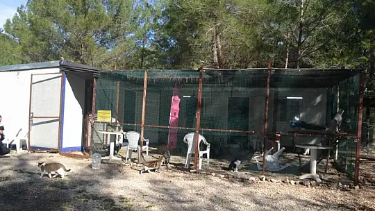 Can dostlar onlara emanet