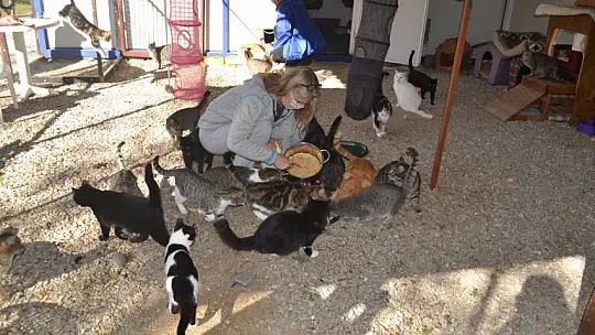 Can dostlar onlara emanet