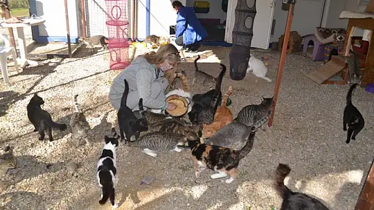 Can dostlar onlara emanet