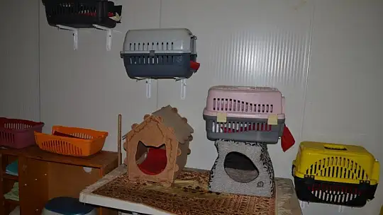 Can dostlar onlara emanet