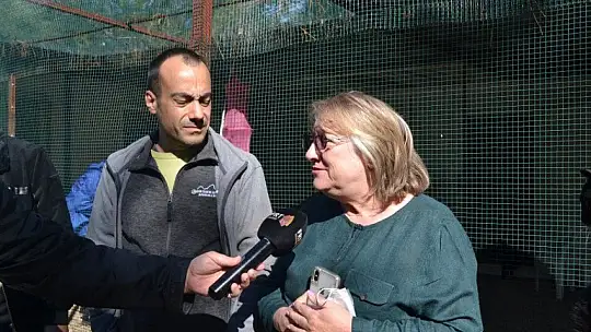 Can dostlar onlara emanet