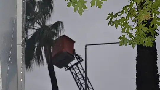 Fethiye Belediyesi ekiplerinden ağaç budama çalışması