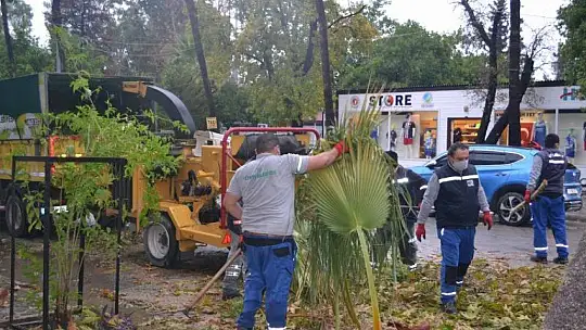 Fethiye Belediyesi ekiplerinden ağaç budama çalışması