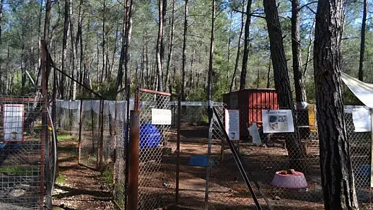 Can dostlar onlara emanet