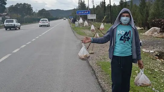 Şehit aileleri ve engellilere ücretsiz çıntar