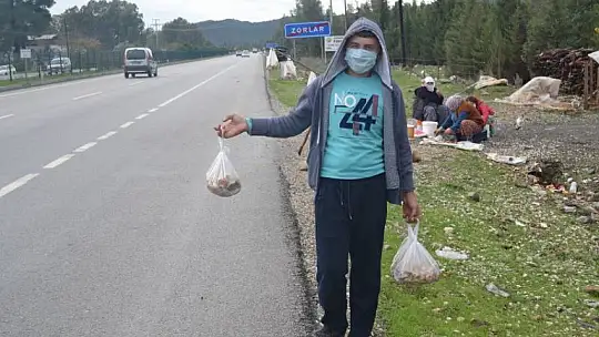 Şehit aileleri ve engellilere ücretsiz çıntar