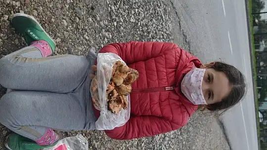 Şehit aileleri ve engellilere ücretsiz çıntar