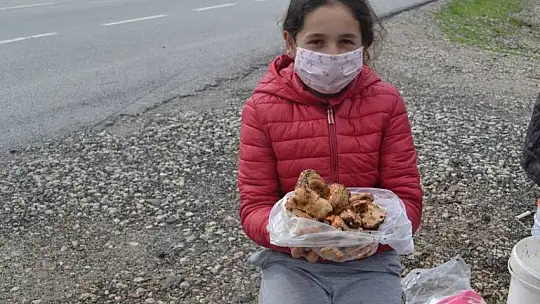 Şehit aileleri ve engellilere ücretsiz çıntar