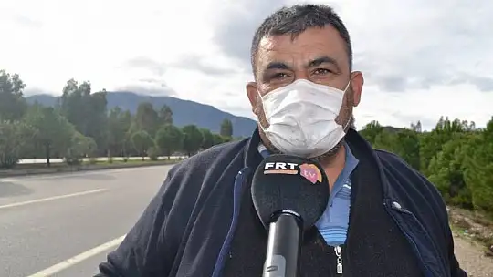 Şehit aileleri ve engellilere ücretsiz çıntar