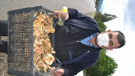 Şehit aileleri ve engellilere ücretsiz çıntar