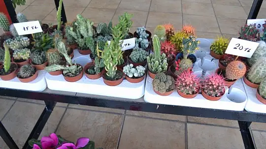 Çiçekçiler Sevgililer Günü'ne hazır 