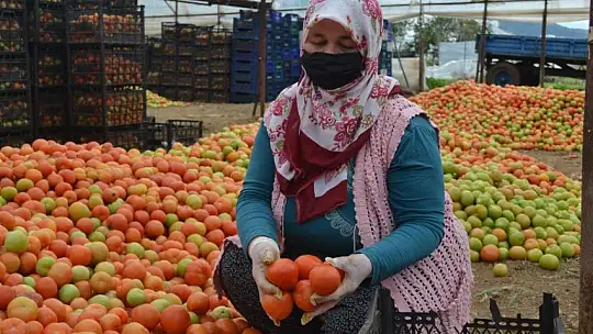 Üretici 'Girdilerdeki ÖTV kaldırılsın'
