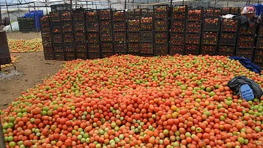 Üretici 'Girdilerdeki ÖTV kaldırılsın'