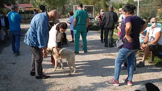 Hayvan Bakım Merkezi can dostlar için modern hale getiriliyor