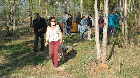 Hayvan Bakım Merkezi can dostlar için modern hale getiriliyor
