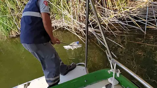 Dünyaca ünlü Dalyan kanalında temizlik
