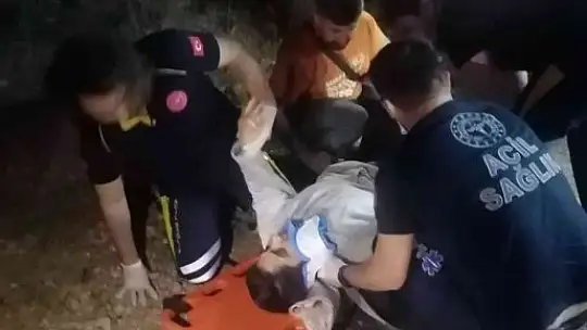 Düzensiz göçmenleri taşıyan minibüs kaza yaptı: 2 yaralı