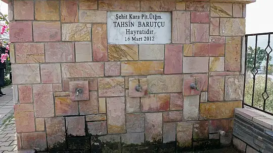 Şehit Pilot Anısına Dikilen Ağaçların Kesilmesine Başkan Aras'tan Sert Tepki