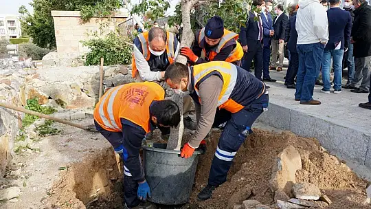 Şehit Pilot Anısına Dikilen Ağaçların Kesilmesine Başkan Aras'tan Sert Tepki