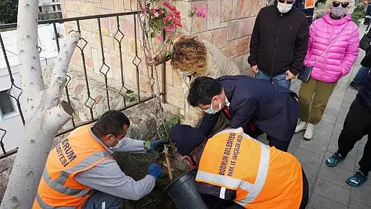 Şehit Pilot Anısına Dikilen Ağaçların Kesilmesine Başkan Aras'tan Sert Tepki