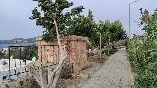 Şehit Pilot Anısına Dikilen Ağaçların Kesilmesine Başkan Aras'tan Sert Tepki