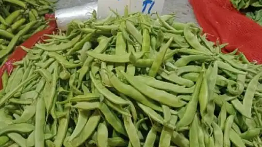 REKOR BU HAFTA DA FASULYE'DE