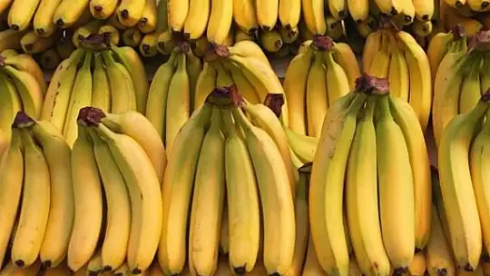 BAŞKAN KARAYİĞİT, TROPİKAL MEYVELER HAKKINDA KONUŞTU