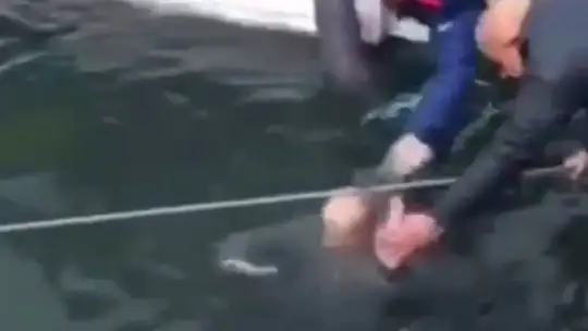 El ele tutuşup denize atlayan yaşlı çift, otele yerleştirildi