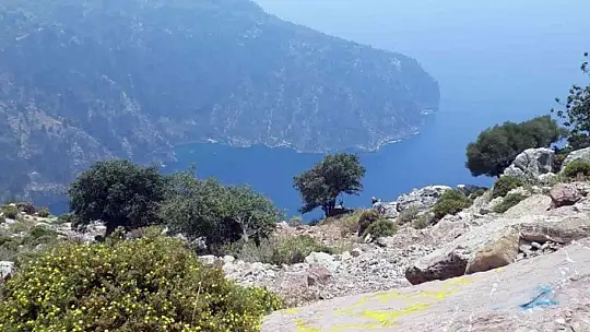 Eşini ittiği iddia edilen Hakan Aysal ile ilgili gerekçeli karar açıklandı