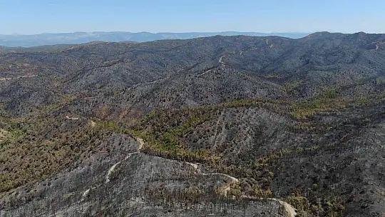 Evinin yanmadığına sevinemedi