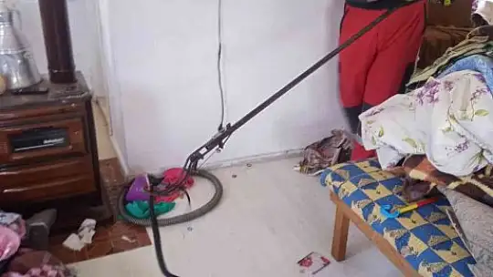 Fethiye'de itfaiyeden yılan yakalama operasyonu