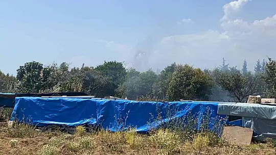 Fethiye'de otluk alanda çıkan yangın korkuttu