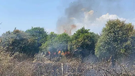 Fethiye'de otluk alanda çıkan yangın korkuttu