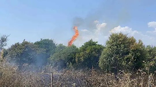 Fethiye'de otluk alanda çıkan yangın korkuttu