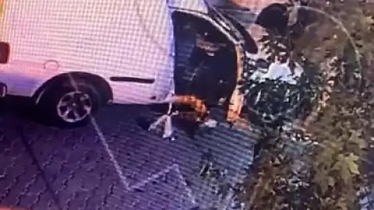 Fethiye'de park halindeki araçtan hırsızlık yapan şahıs tutuklandı