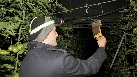 Fethiye'de sera üreticisinin sobalı don nöbeti