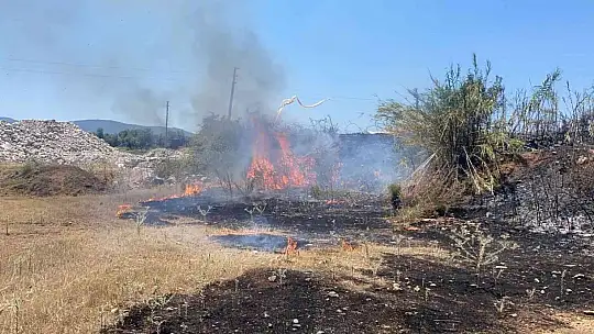 Fethiye'de tarım arazisinde çıkan yangın büyümeden söndürüldü