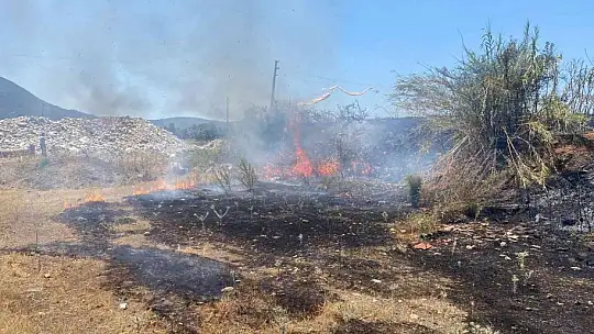 Fethiye'de tarım arazisinde çıkan yangın büyümeden söndürüldü