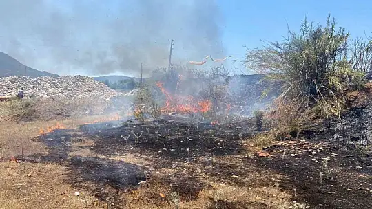 Fethiye'de tarım arazisinde çıkan yangın büyümeden söndürüldü