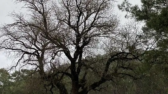 Fethiye'ye kar yağdı, vatandaşlar şaşırdı