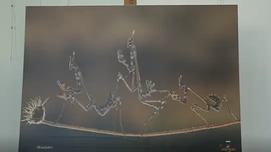 'GÖZ GÖZE' İSİMLİ FOTOĞRAF SERGİSİ AÇILDI