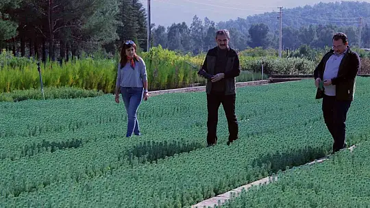 Fidan dikim seferberliği 11 Kasım'da